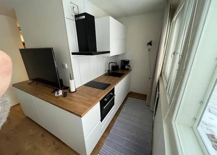 Apartamento Tyylikaes Yksioe Kalliossa Helsínquia